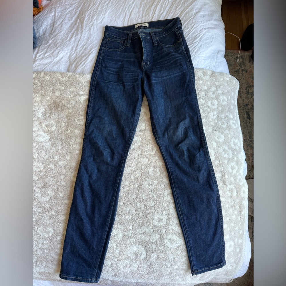Dark Wash Madewell 10” High Rise Skinny Jeans